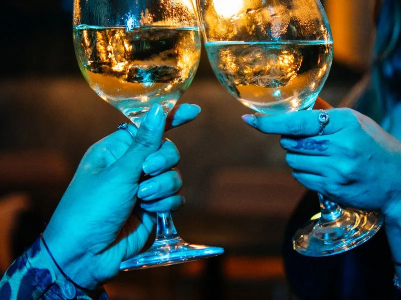 Catas de vino