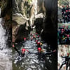 Explora Sur web