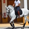 Finca La Pañoleta - Club Hípico
