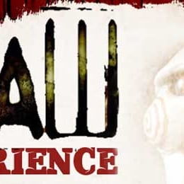 Saw experience