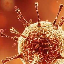 El virus
