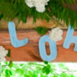 Hawaiana: Salva la fiesta