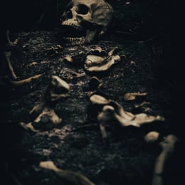 El portal ESCAPE ROOM