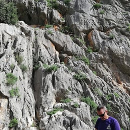 ALCALALÍ Climbing
