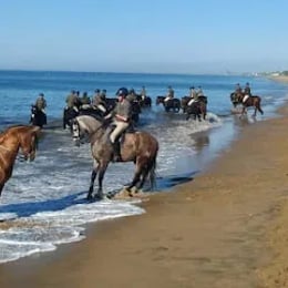 Arte Andaluz
