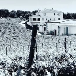 Bodega Doña Felisa - Finca Chinchilla