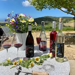 Bodega Etu-vinos