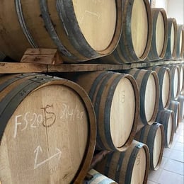 BODEGA F-SCHATZ