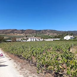 Bodega García Hidalgo