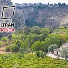 Bodega Gonzalo Beltrán Finca La Nogalera