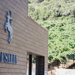 Bodega Tesalia