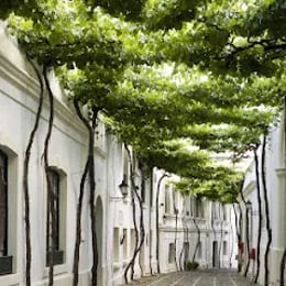 Bodega Tío Pepe