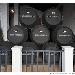 BODEGAS ÁLVARO DOMECQ, S.L.