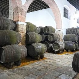 Bodegas Barrero - Visitas