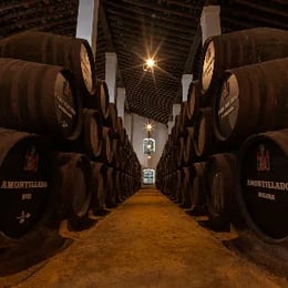 Bodegas Cayetano del Pino. Vinos de Jerez. D.O. Jerez - Xérs - Sherry