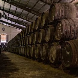 Bodegas Elías González