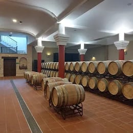 Bodegas Excelencia