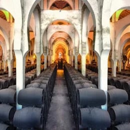 Bodegas Fundador