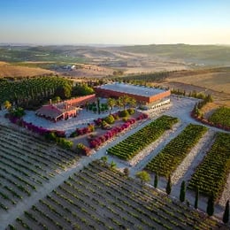 Bodegas Luis Pérez