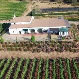 Bodegas Morosanto