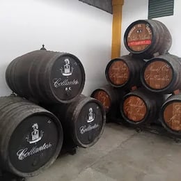 Bodegas Primitivo Collantes