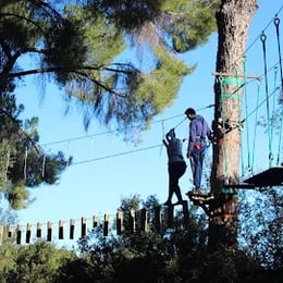 Bosque Suspendido