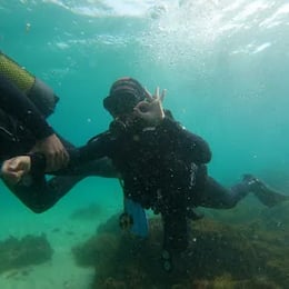 Buddha divers
