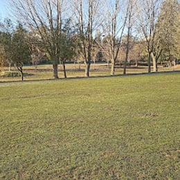 Campo de Golf Laguna de Tito