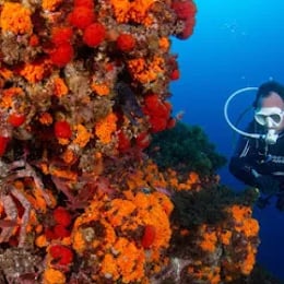 Centro de Buceo Burbujas