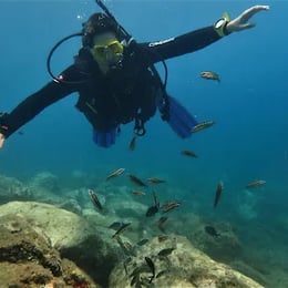 Diving with Nic