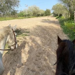 Doñana a Caballo