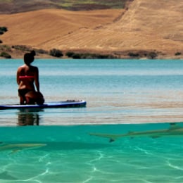 DR Paddle Surf