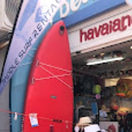 Electric Surfboard SL
