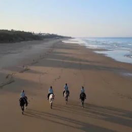 Finca Cerrillo - Reiturlaub & ausreiten in Andalusien