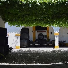 Gago & Co. Barrels- Wines