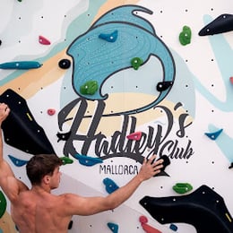 Hadley´s Rocódromo