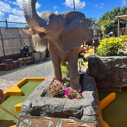 Jungle river adventure golf