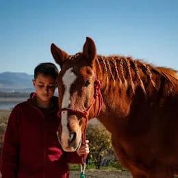 La Alegría - Experiencias a caballo