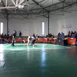 Luchódromo