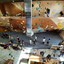 MOVE Climbing