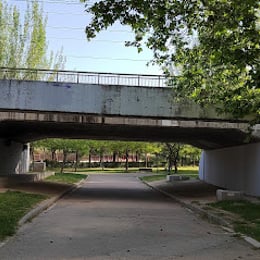 Pared para escalar Puente Blanco