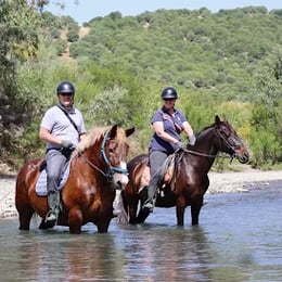 RIDING