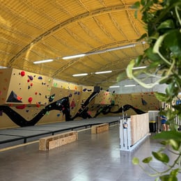 Rocodromo MoMa Climbing: Escalada en Murcia