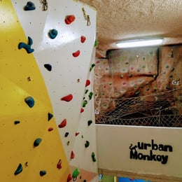 Rocódromo Urban Monkey - Madrid