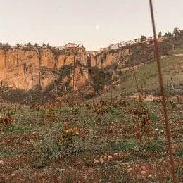 Samsara Wines Ronda Catas de vino en la viña / Vineyard Wine Tasting