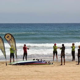 Surf Canaries