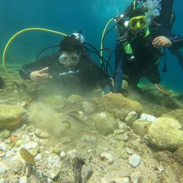 Tanger Med Diving Center 2