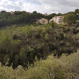 Vias Cas Català