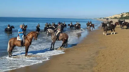Arte Andaluz