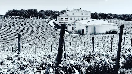 Bodega Doña Felisa - Finca Chinchilla